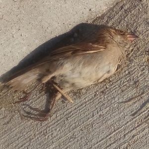 Meet your Posher, Jeff